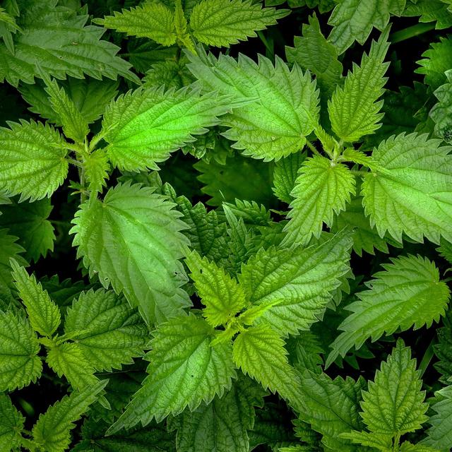 6571dcf6ae8edb7f3fa88760-1701960950579