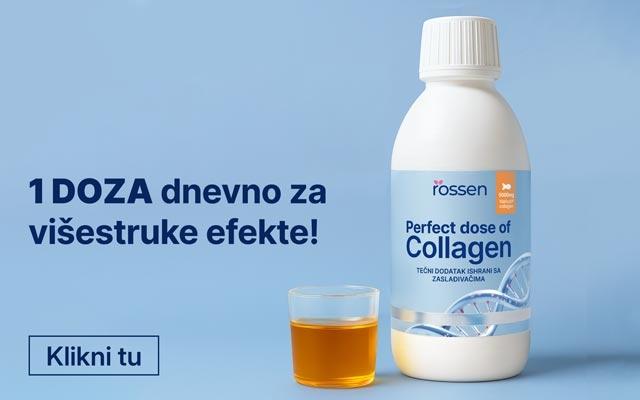 4---Collagen - BIH