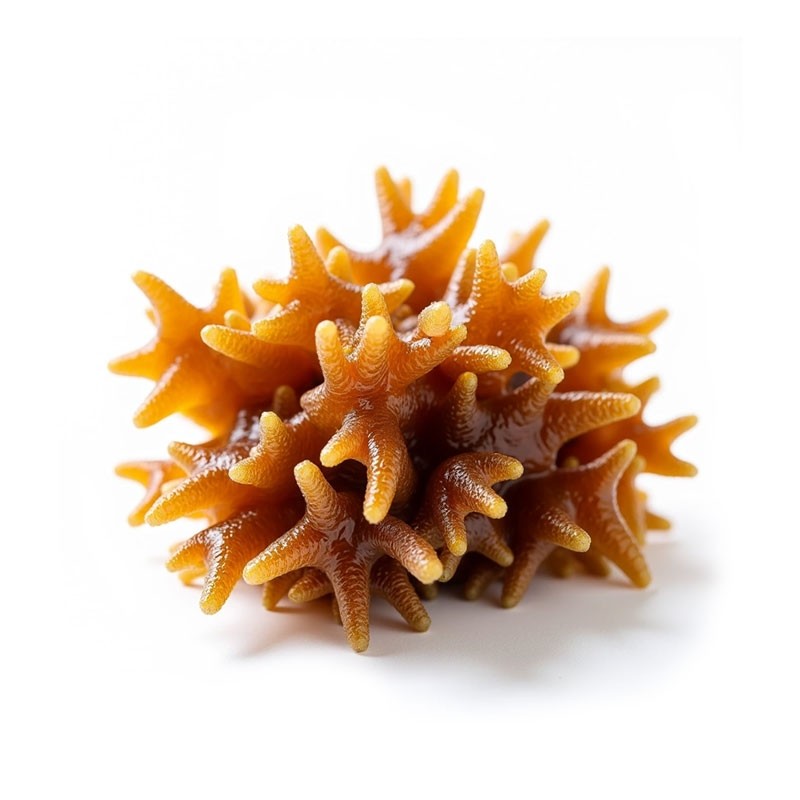 viber_image_2025-04-28_14-21-27-240