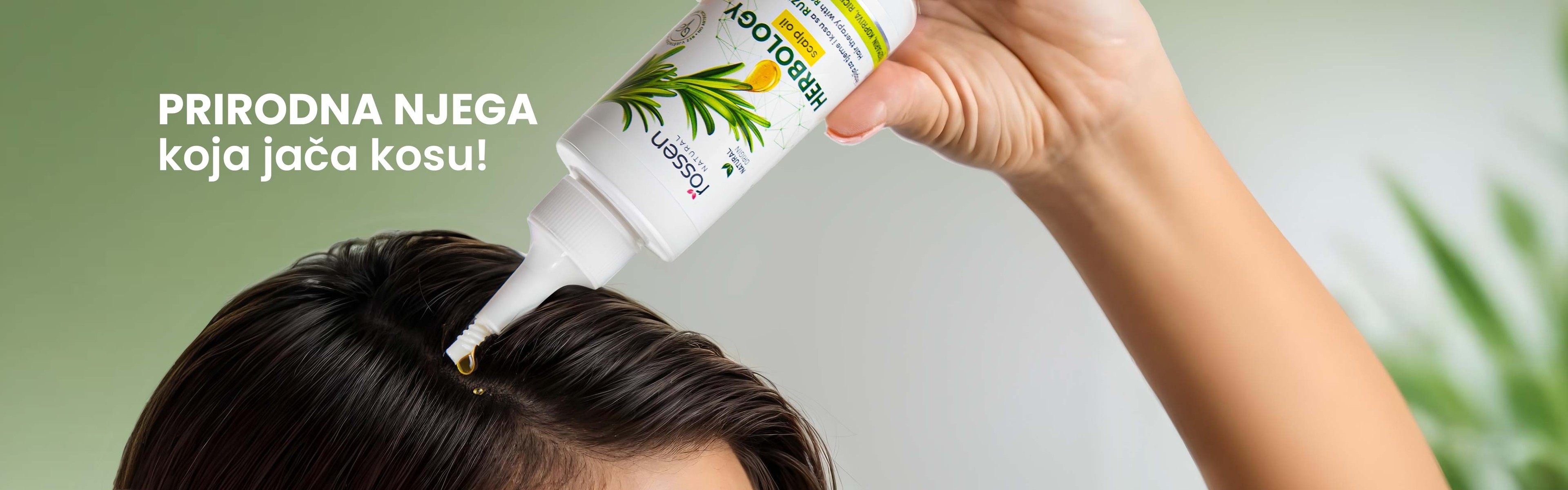 RUZMARIN-ulje+sekcija--1